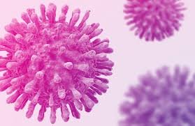 New Virus Found in China Yet Another
