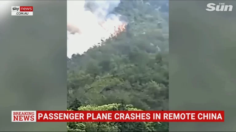 Harrowing footage captures fiery passenger plane crash site in remote China