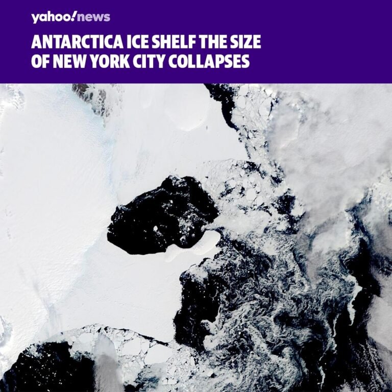 For the first time in human history, an ice shelf in East Antarctica has collaps