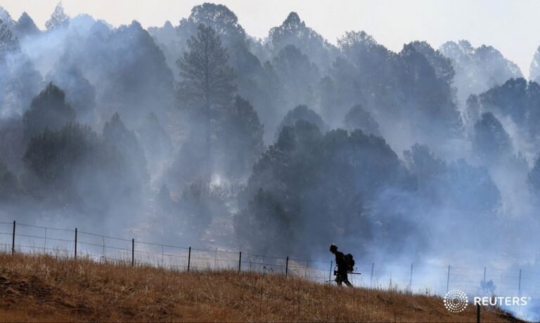 A firefighter works to combat the Hermits Peak and Calf Canyon wildfire near Las