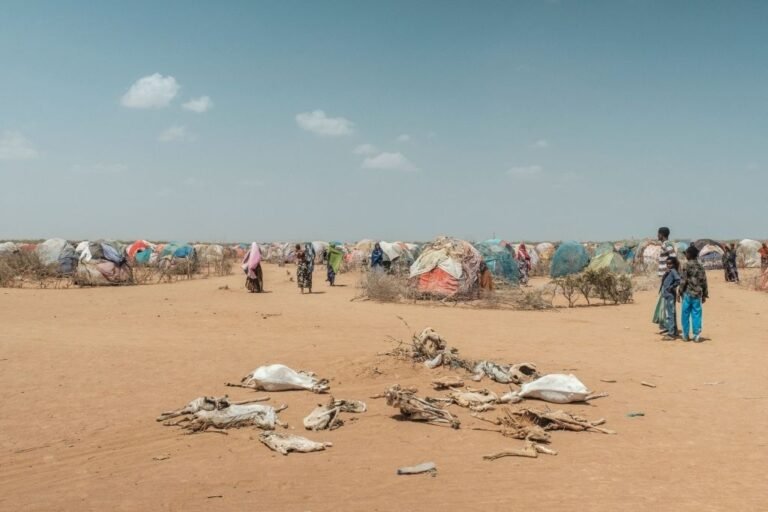 A severe drought in the Horn of Africa has put the lives of millions of people i
