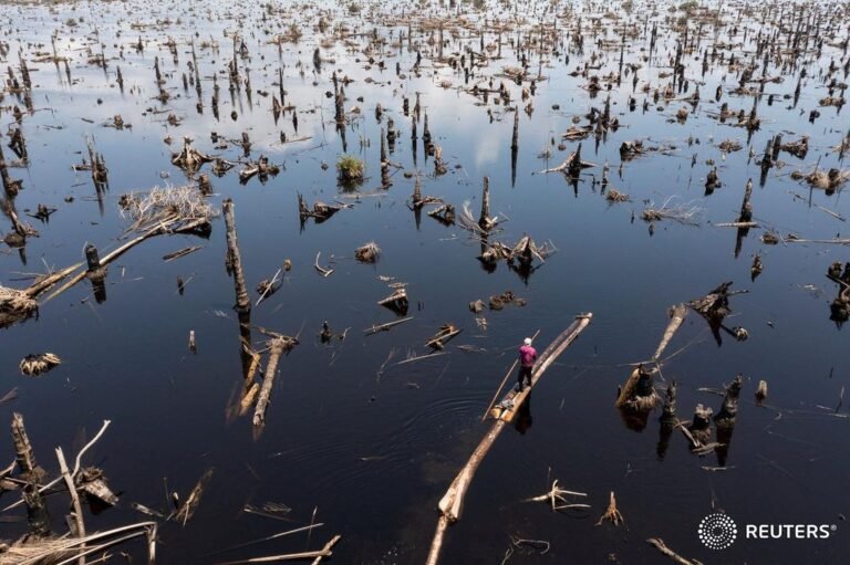 Logger Egbontoluwa Marigi, 61, paddles his logs out of the flooded forest floor