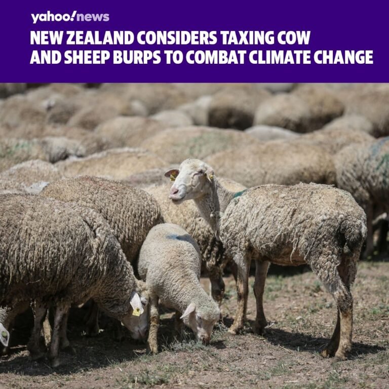 The government of New Zealand has proposed a novel way of fighting climate chang